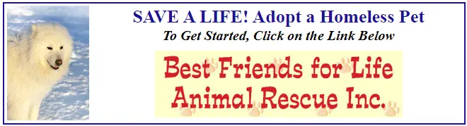 Banner reading "SAVE A LIFE! Adopt a Homeless Pet — To Get Started, Click on the Link Below — Best Friends for Life Animal Rescue Inc."